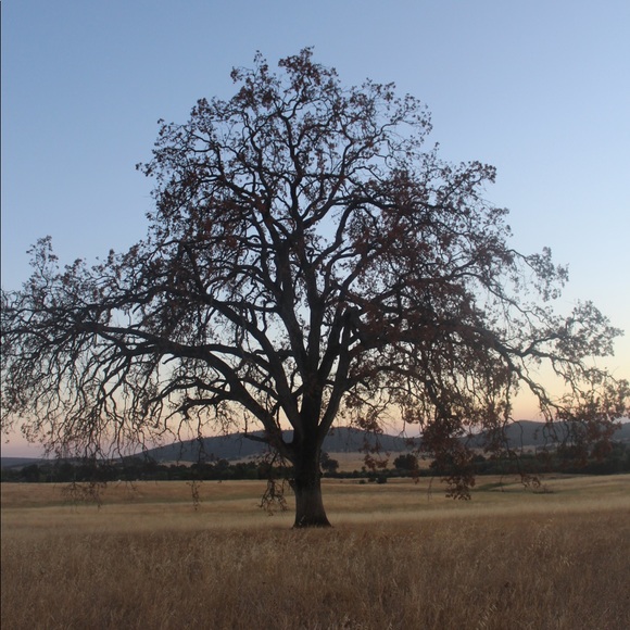 Meet your Posher, Casey - Picture 8 of 8